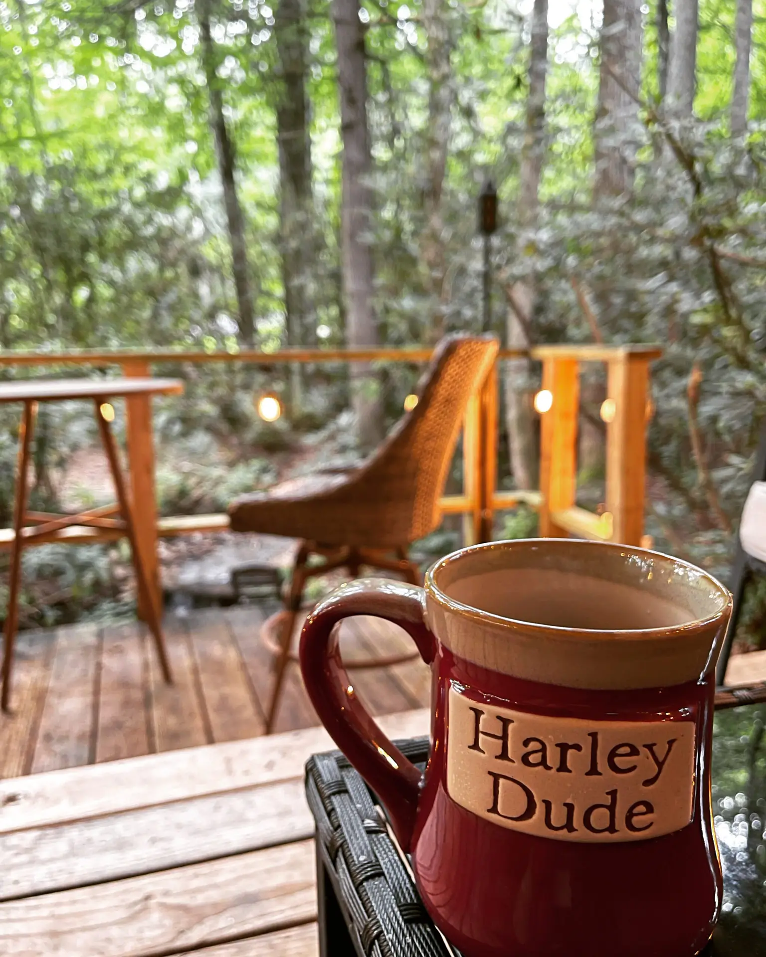 Maggie Valley NC creekside cabins